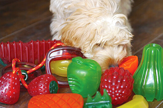 Rosewood Biosafe Fruit Dog Toys