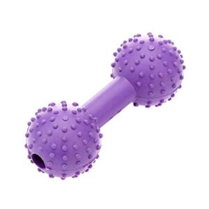 Classic Pet Products Rubber Pimple Dumbbell Dog Toy - Purple