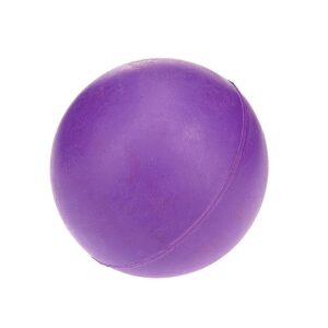 Classic Pet Products Solid Rubber Ball Dog Toy - Small Purple