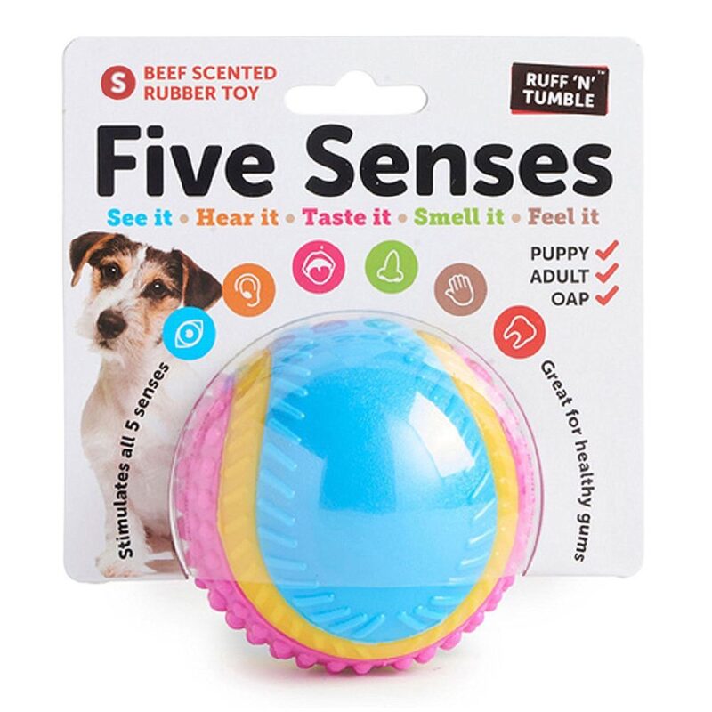 Sharples Five Senses Sensory Ball Dog Toy Small